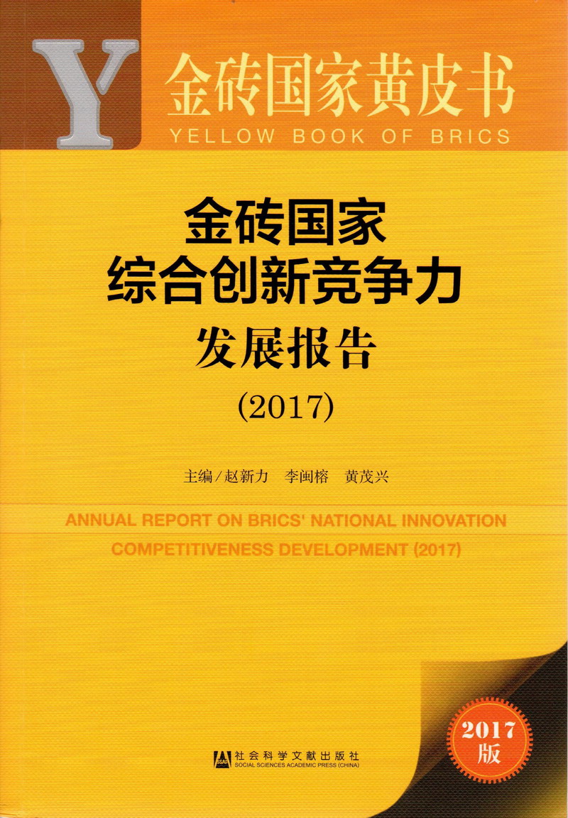 肏比视频金砖国家综合创新竞争力发展报告（2017）